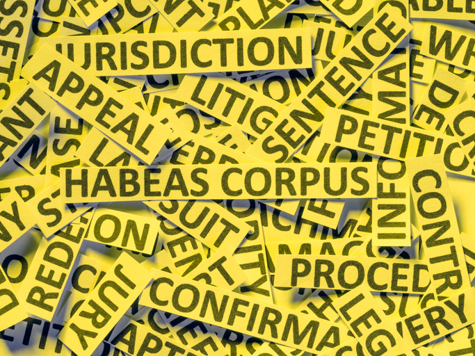 Habeas Corpus Attorney